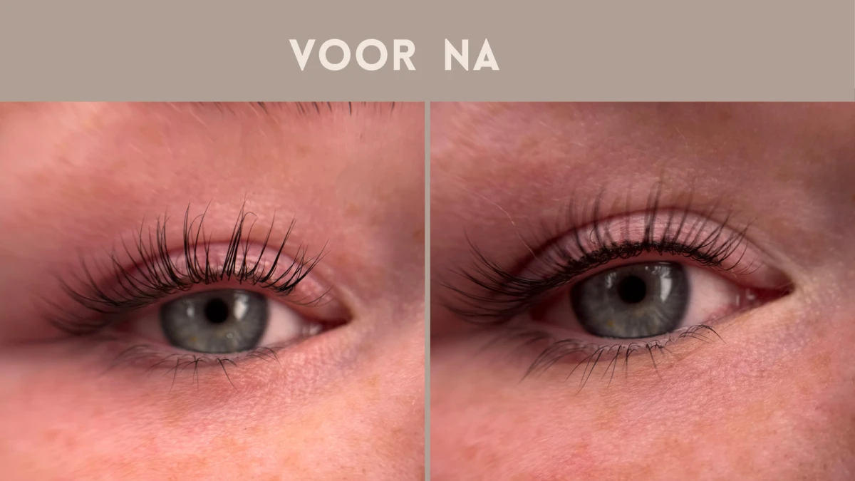 photo - Timeless Touch